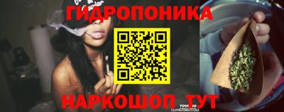 трава Пугачёв