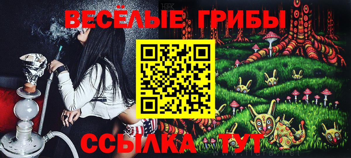 Псилоцибиновые грибы Psilocybe  как найти наркотики  Хабаровск  Вход с VPN  Псилоцибиновые грибы Psilocybe 